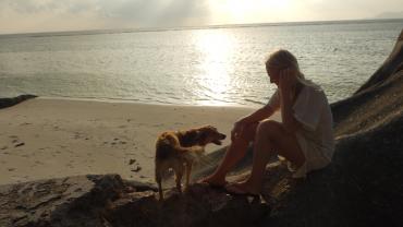 Sonnenuntergang mit streunendem Hund
