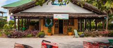 Excursion: Creole - La Digue by Boat & Bike - Full Day Tour