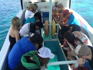 excursion-best-tours-seychelles-glass-bottom-boat-tour-st-anne-marine-park-img-680