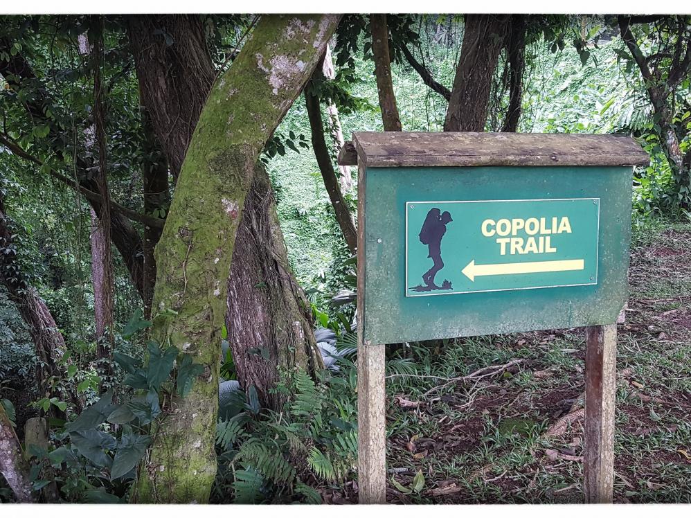 61|Copolia Lodge Trail 