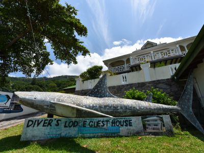 The Diver's Lodge